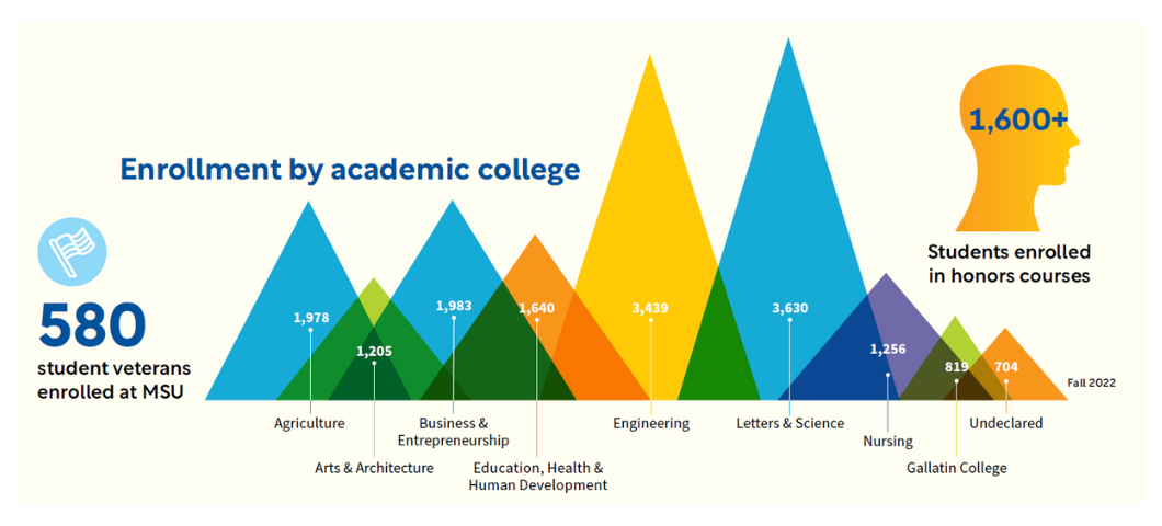 Graphic describing the student population of each MSU college