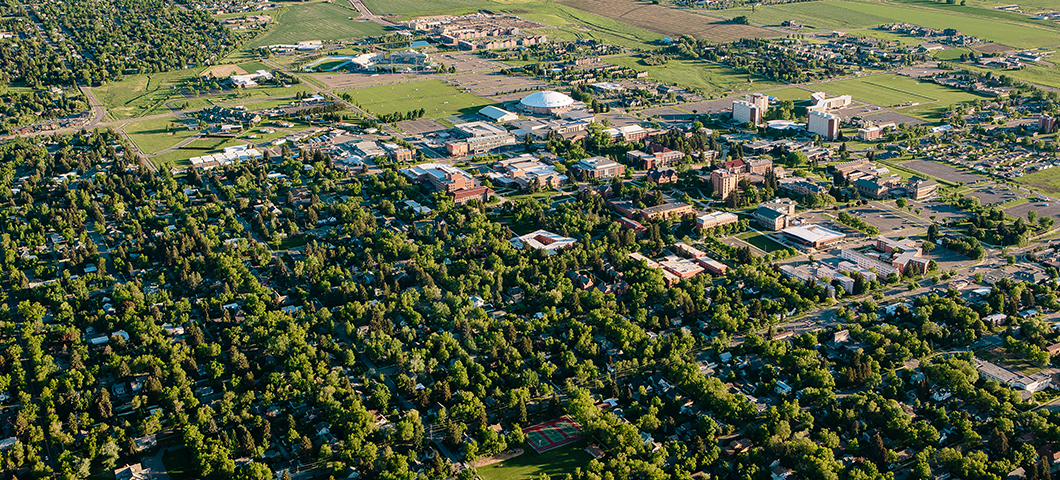 Aerial view of the Montana State University campus in summer.
