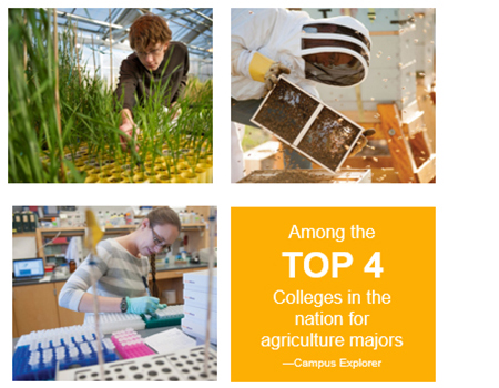 We are among the top 4 colleges in the nation for agriculture majors, accorind to Campus Explorer