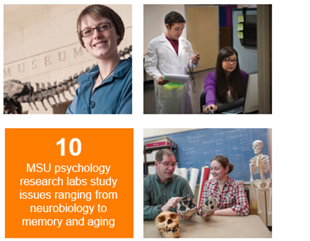 10 MSU psychology research labs study issues ranging brom neurobiology to memory and aging