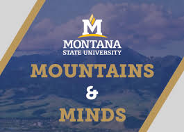 MSU Mountain and Minds logo