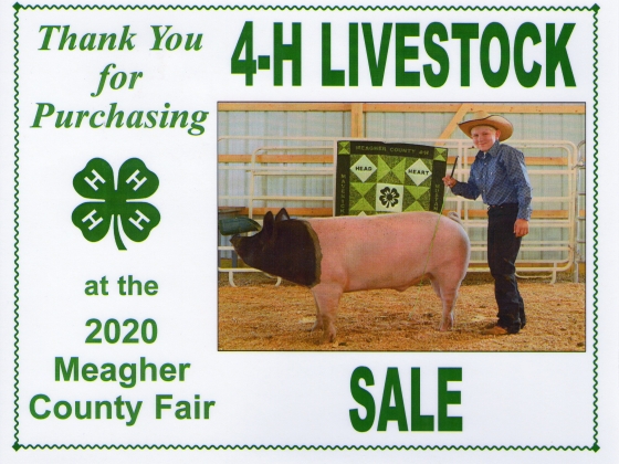 MSU purchases animals from local 4-H youth for use in campus dining halls MSU purchases animals from local 4-H youth for use in campus dining halls