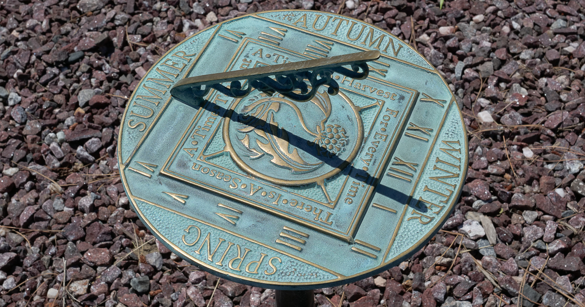 MSU News Montana State University