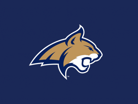Montana State University Sports Cat