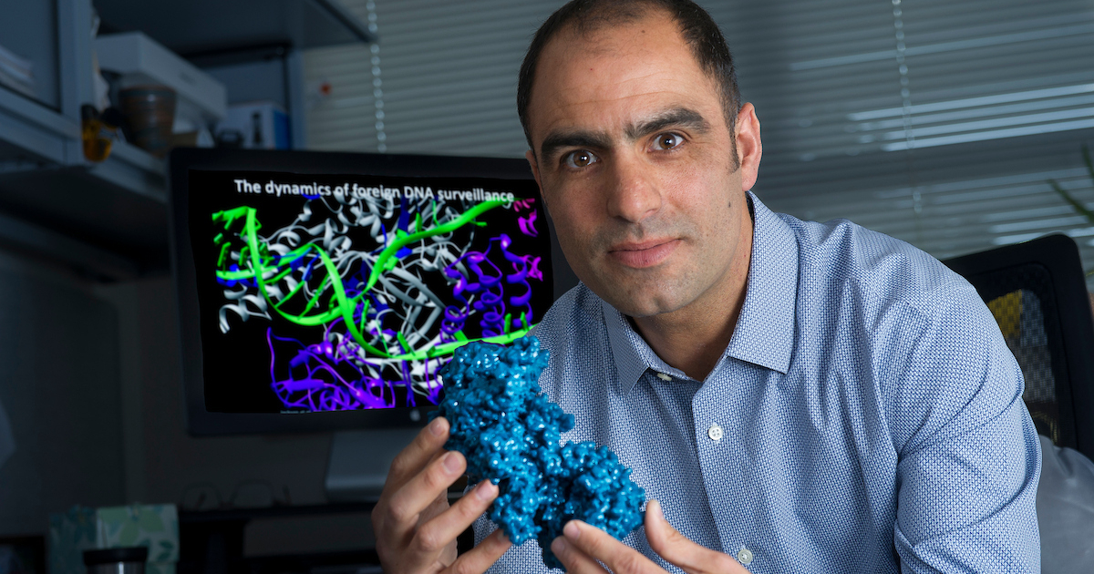 Blake Wiedenheft named Montana State University endowed chair in plant science