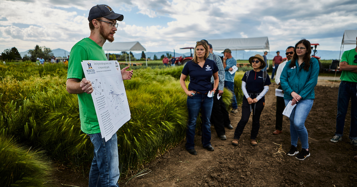 Montana State College of Agriculture announces annual summer field days