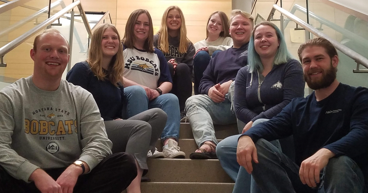 MSU News Montana State University