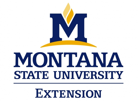 MSU Extension releases publication outlining trustee … – Montana State University