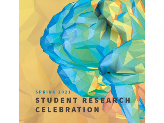 MSU to host Spring Student Research Celebration April 9 - Montana State University