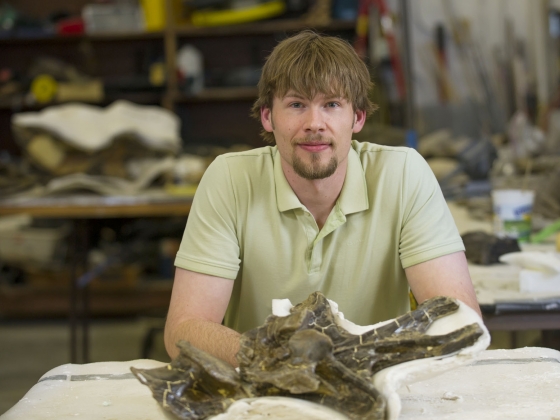 msu paleontologist finds that ligaments in some dinosaurs necks