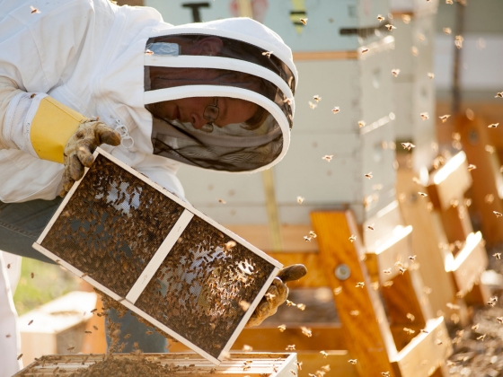 Beekeepers Club — Students — Penn State College of Agricultural