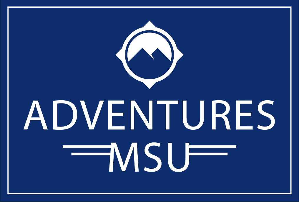 Adventures MSU