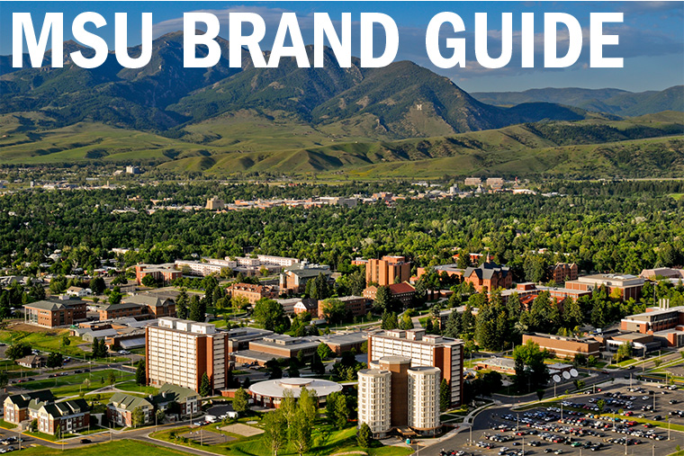 MSU Brand Guide - MSU Brand Guide  Montana State University