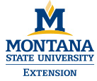 MSU Extension