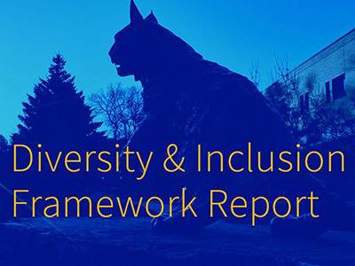 blue box that says Diversity & Inclusion Framework Report