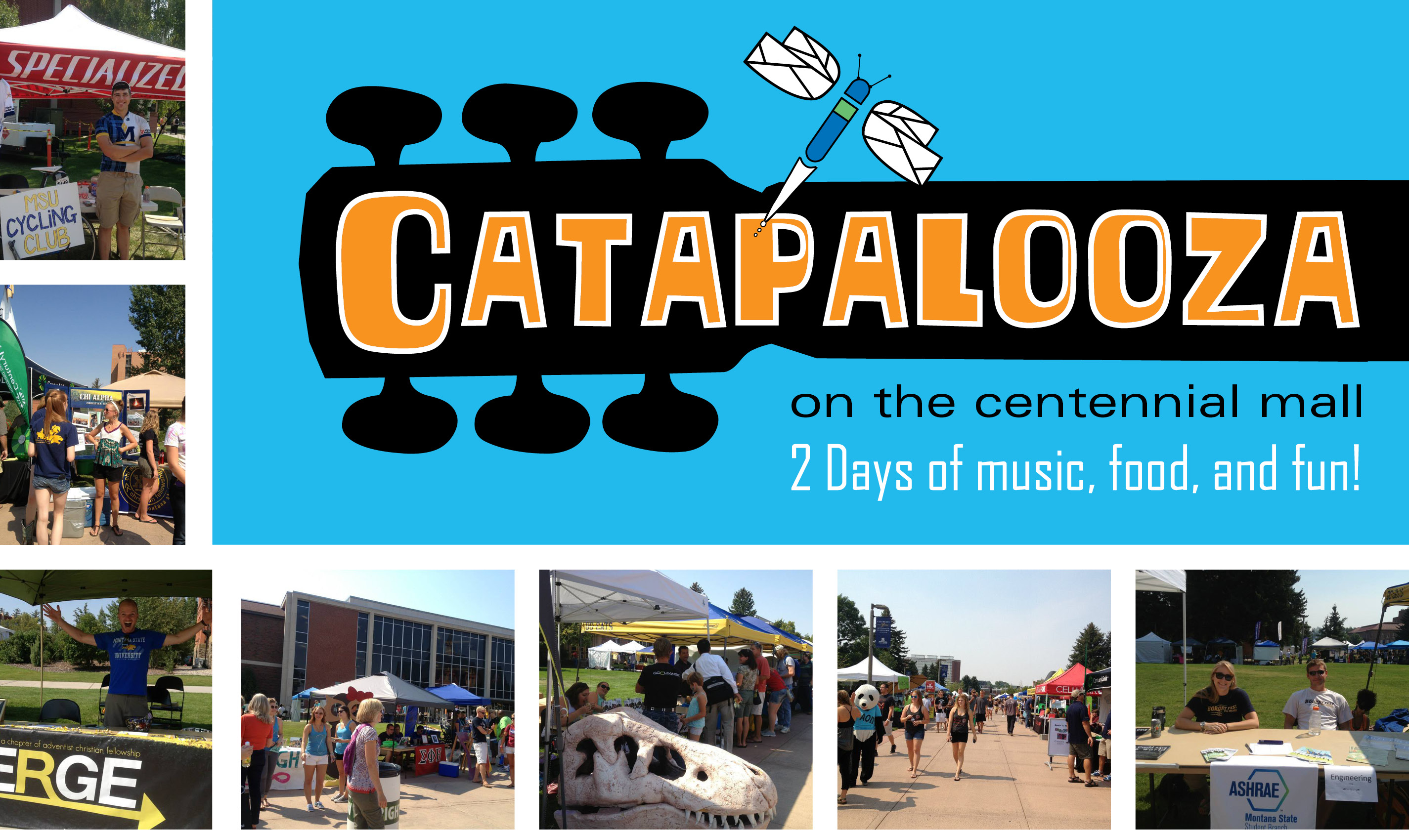catapalooza