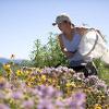 Woman holding large mesh net near purple and yellow flowers - Photo by Kelly Gorham