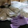 Pair of purple gloves lying against bags of seed