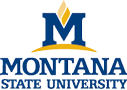 MSU logo