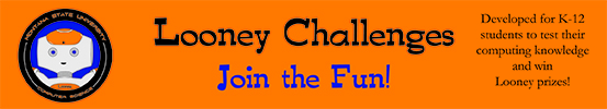 Looney Challenge banner