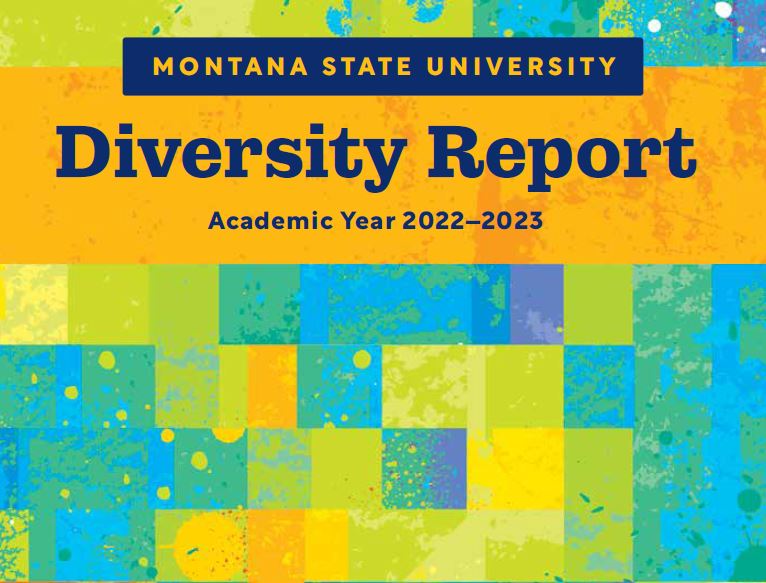 Diversity Report over for academic year 2022-2023