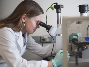 Dr. Flenniken at Microscope