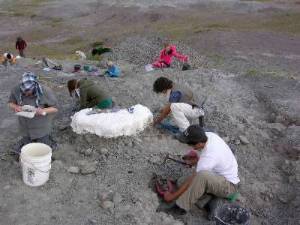 Students engaged in a paleontologic dig