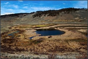 Image of Blacktail Pond, Yellowstone National Park