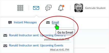 D2L DL CD v1074 screenshot - select the "Email" link