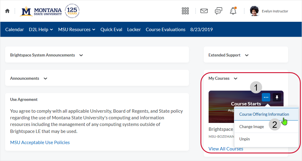 D2L 20.19.8 screenshot - select hoizontal elipse icon to access a contextual drop menu - then select "Course Offering Information" from the drop menu