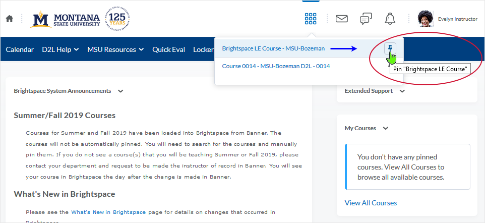 D2L 20.19.6 screenshot - accessing the select-a-course area and selecting to pin a course