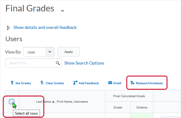 D2L 20.19.6 screenshot - select the "Select all rows" box at the top of the grades table