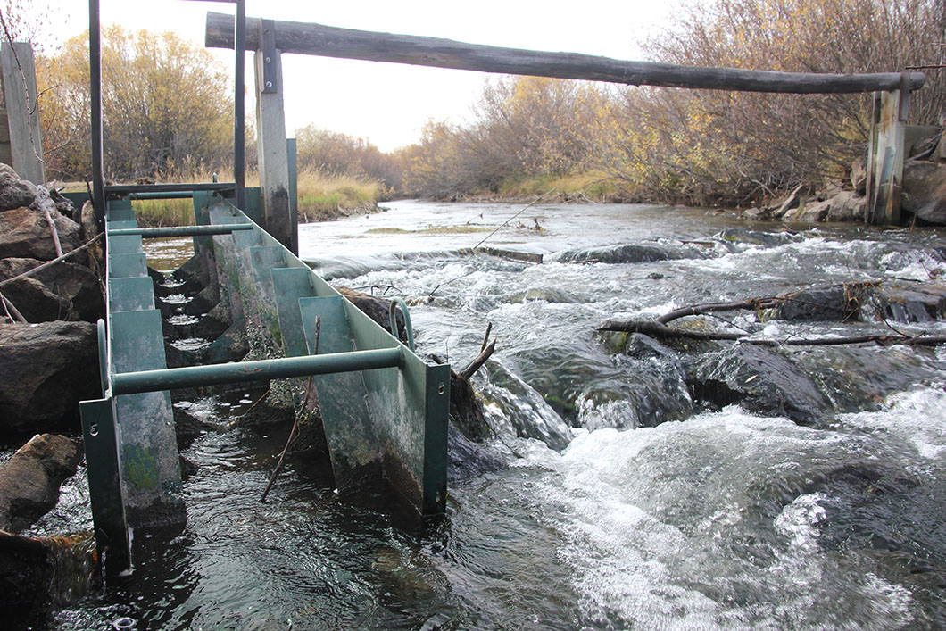 Denil Fishway at Irrigation Diversion