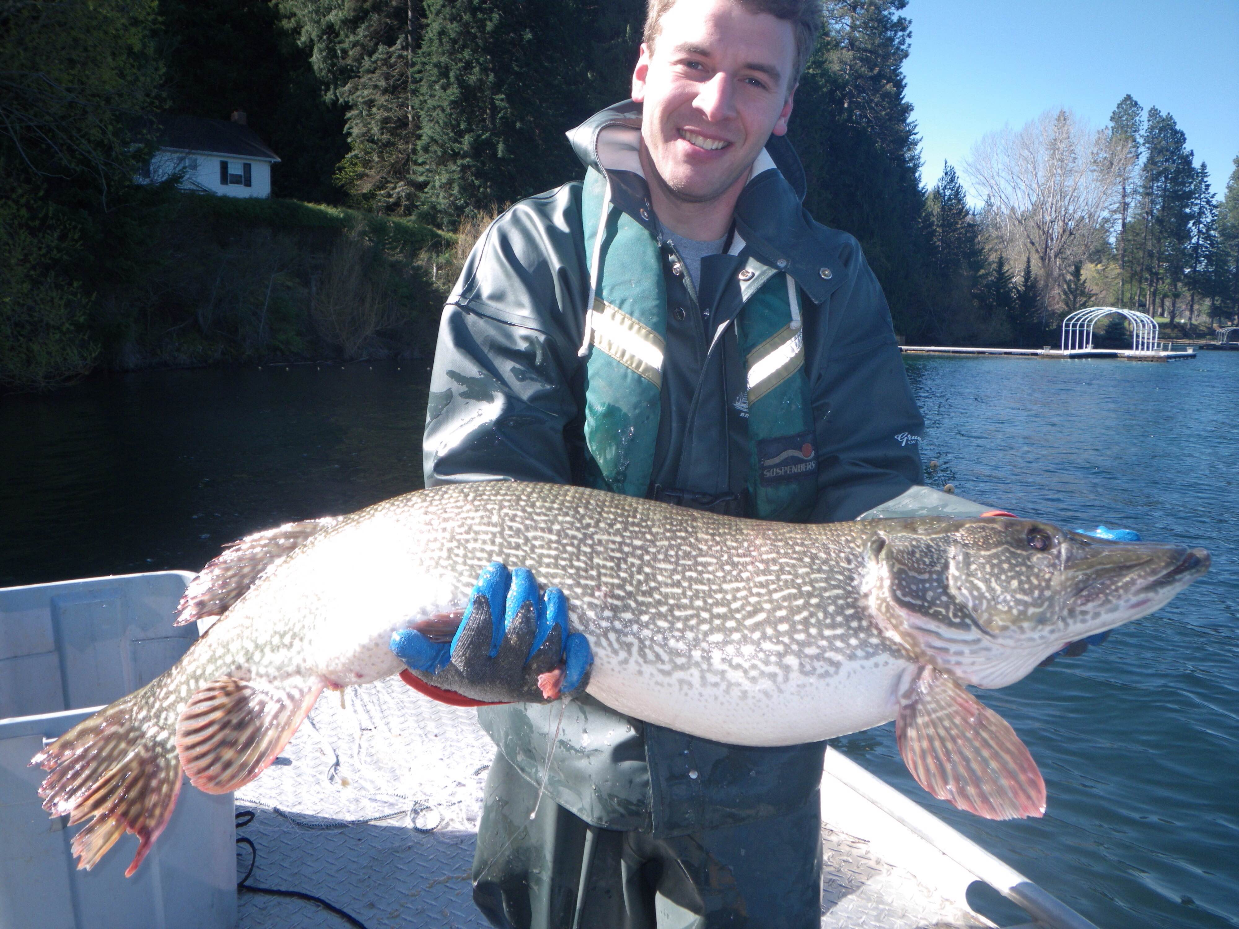 Dan Kaus with northern pike