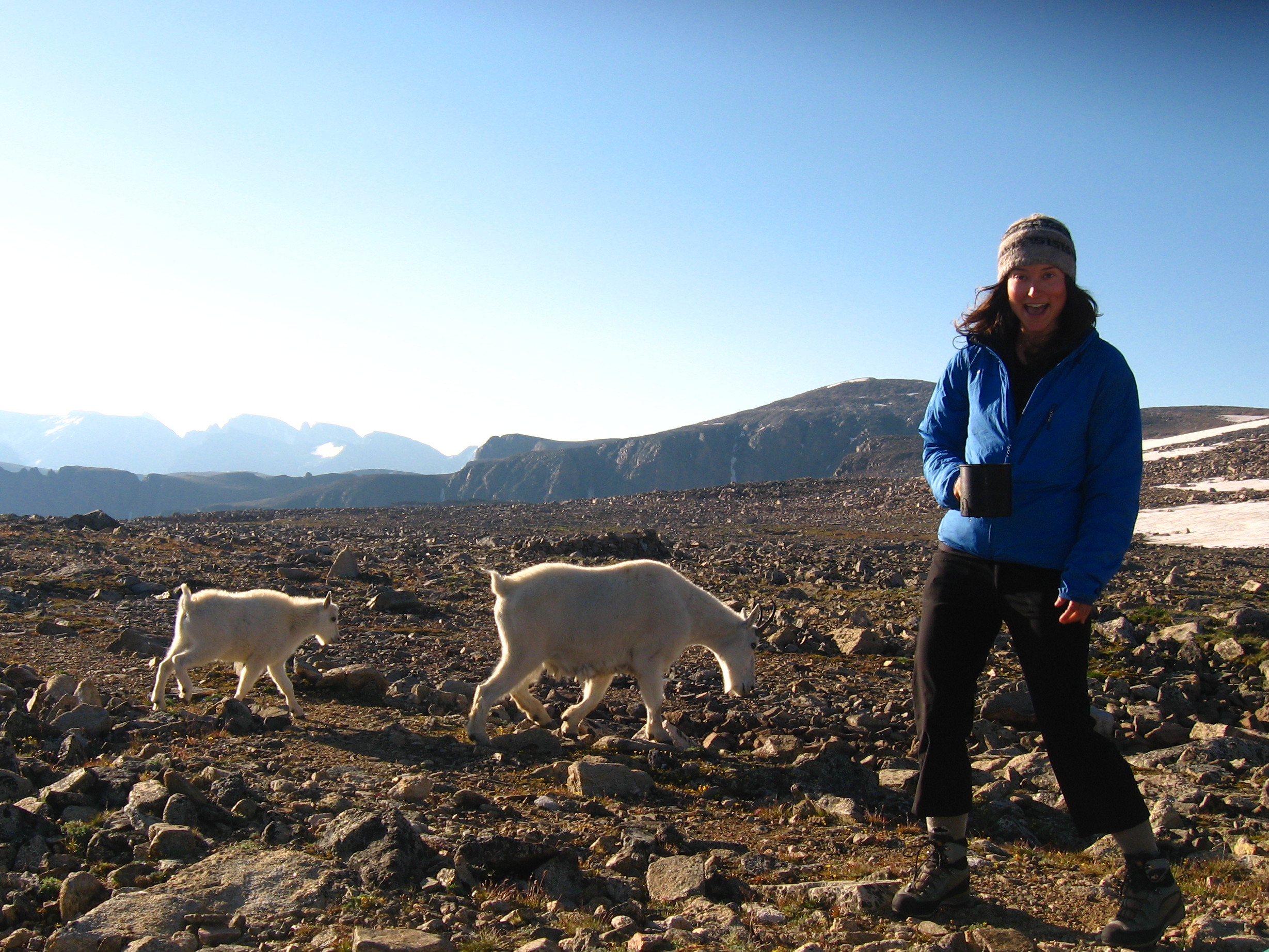 Shannon on mountain with two baby goats