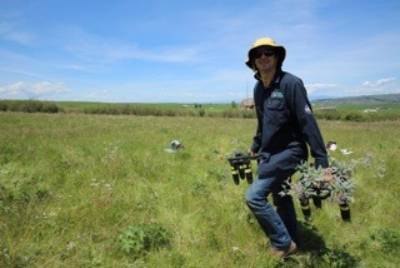 Will Glenny in a field