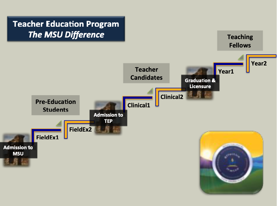 Graphic: Teacher Education Program, The MSU Difference, Admission to MSU, Pre-Education Students, Field Experience 1, Field Experience 2, Admission to T E P, Teacher Candidates, Clinical 1, Clinical 2, Graduation and Licensure, Teaching Fellows, Year 1, Year 2