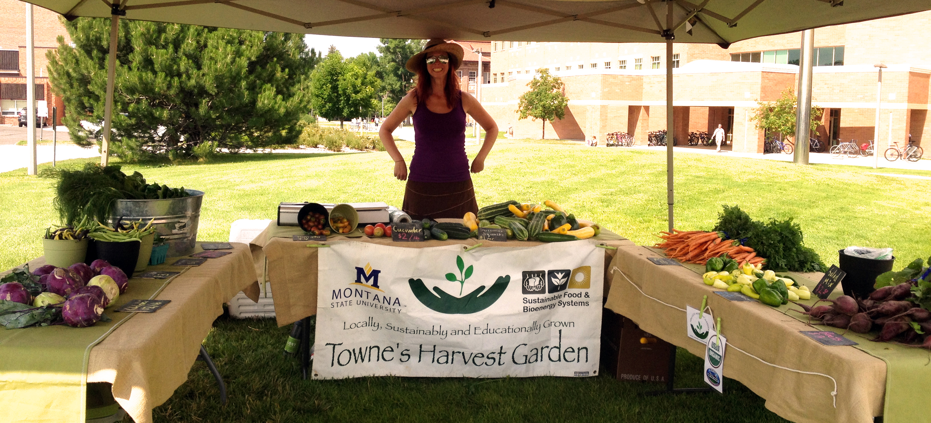 Towne's Harvest Garden creates an on-campus farmstand