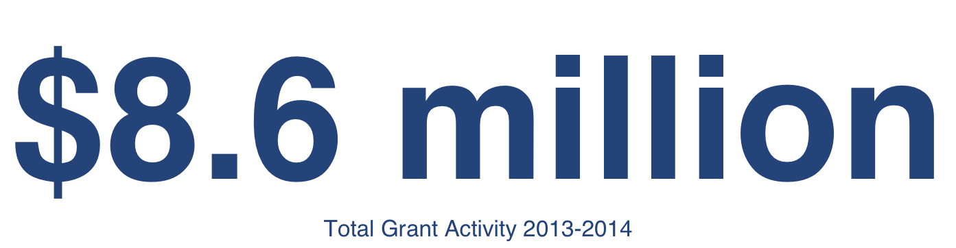 Numerical image showing EHHD total grant activity of 8.6 million USD
