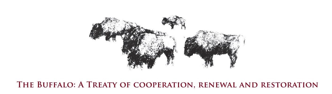 The Buffalo - A Treaty of Cooperation, Renewal and Restoration