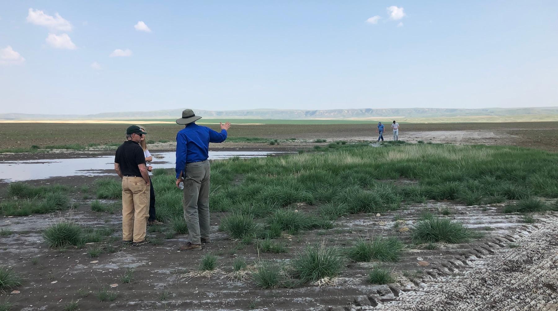 Individuals stand and gesture out towards an agricultural field