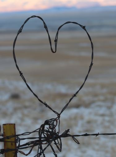 Heart Shaped Barbed Wire
