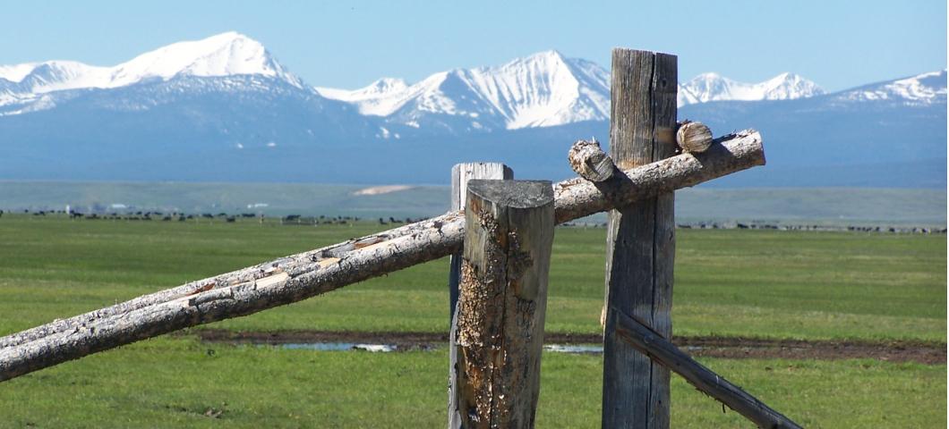 Fence Post with Mountains and Field in Background