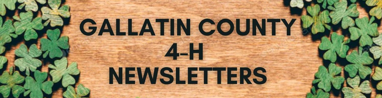 Gallatin County 4-H Newsletter