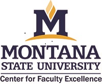 CFE Logo