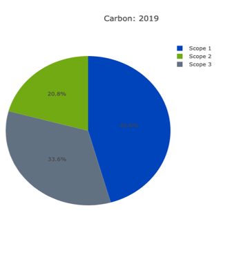 Carbon 2019