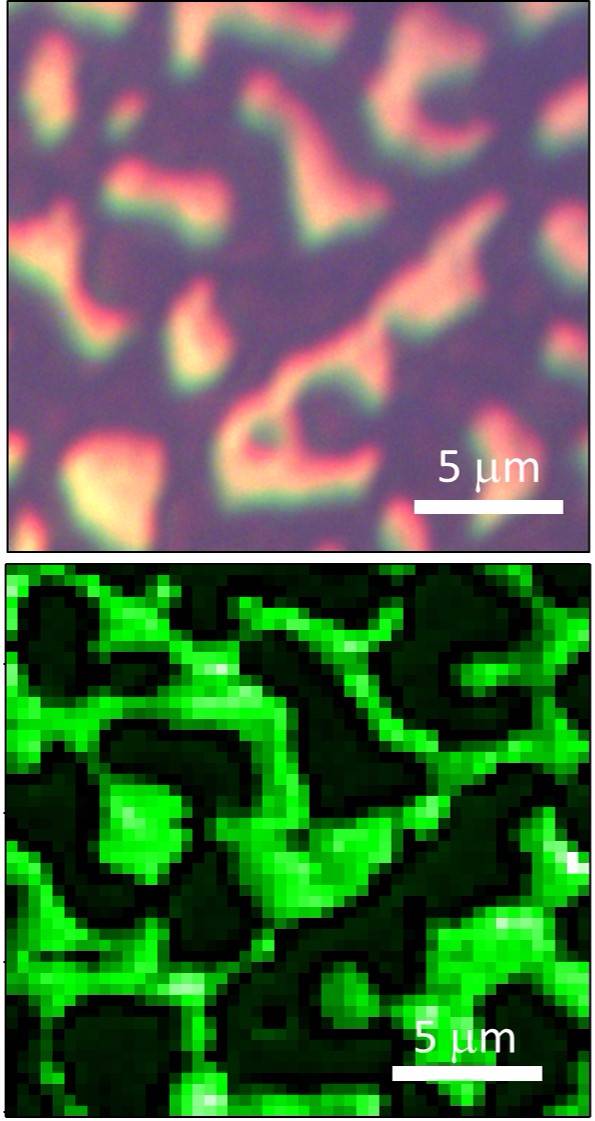 Perovksite Grain