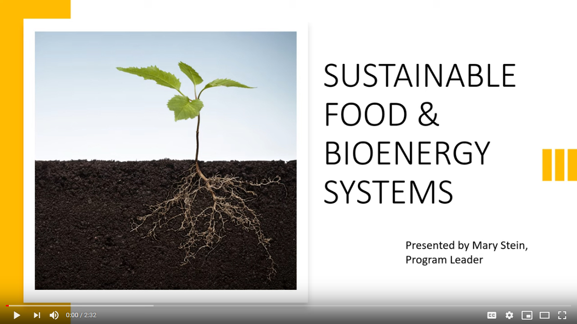 Sustainable foods and bioenergy systems video