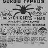 Scrub typhus was a problem in the Asian Theatre of World War II. The disease is caused by a rickettsia, Rickettsia tsutsugamushi, and is transmitted by mite species in the genus, Leptotrombidium.