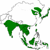 Distribution of scrub typhus in Asia, indicated by green shading.